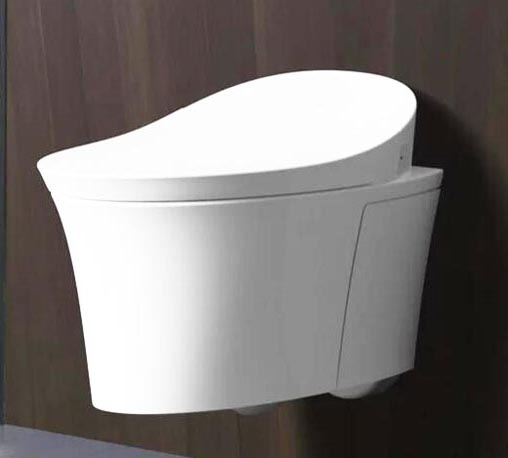 Intelligent toilet producent